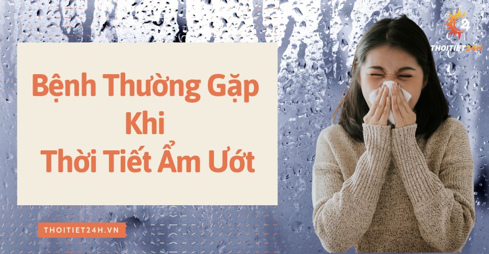  Làm thế nào để khắc phục thời tiết nồm ẩm?